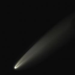 Kometa C/2020 F3 Neowise dalekohledem průměru 20 cm, z Itálie, 8. července 2020. Kredit: Palarran, Wikimedia Commons.