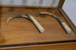 Železné srpy z „očišťovací“ pohřební jámy nalezené na ostrově Rhénia. Z druhotného pohřbu obyvatel Délu od 9. do počátku 5. století před n. l. Archeologické muzeum na Mykonu. Kredit: Zde, Wikimedia Commons. Licence CC 4.0.