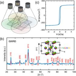 Magnety s boridy. Kredit: Beeson et al. (2025), Advanced Materials.