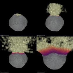 Simulace účinku jaderné exploze planetární obrany proti planetce.