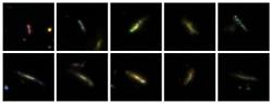 Kosmické housenky z úsvitu času. Kredit: Pandya et al. (2024), arXiv.