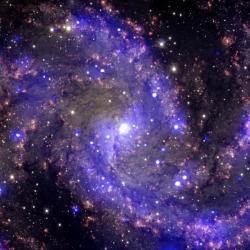 Pozoruhodná galaxie NGC 6946. Kredit: NASA.