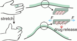 Elastická náplast s mikrokapslemi začne uvolňovat drogu až při náročnějším pohybu. (Kredit: Jin Di, University of North Carolina at Chapel Hill, 2015)