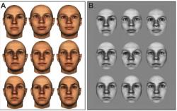 Ukázka několika tváří, které ryby musely od sebe odlišit, pokud chtěly za svůj střik dostat odměnu.  (Kredit: Cait Newport, University of Oxford)