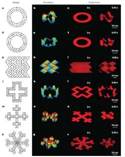 Na počátku je myšlenka – představa tvaru a jeho možných pohybů, pak počítačem vytvořen virtuální model a simulace jeho funkcí. Podle naprogramovaných instrukcí speciální tiskárna vytvoří skutečný objekt. Kredit: Yoonho Kim et al: Printing ferromagnetic domains for untethered fast-transforming soft materials, Nature vol. 558, (2018)