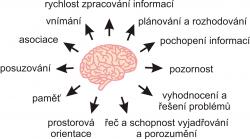 Kognitivní funkce. Pod pojem kognice můžeme zahrnout celou řadu duševních schopností. Různí autoři se ovšem liší v tom, jaké funkce ke kognici ještě řadí a které už ne. Obrázek ukazuje příklady kognitivních funkcí podle nejrozšířenějších definic.