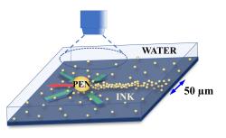 Schéma principu psaní ve vodě: kulička mění pH ve svém okolí, to přitahuje částice inkoustu, který zvýšenou koncentrací zabarví stopu pohybu podvodního pera Kredit: Thomas Palberg, Johannes Gutenberg Universität