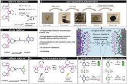 Organická baterie s chinony. Kredit: Strietzel et al. (2020), Angewandte Chemie.