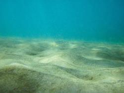 Ač to tak nevypadá, mořské dno funguje jako pohřebiště uhlíku. (Kredit: Pixabay/CC0)