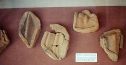 Hliněné formičky z Feidiovy dílny v Olympii, 435 až 430 před n. l. Archeologické muzeum v Olympii. Kredit: Zde, Wikimedia Commons. Licence CC 4.0.