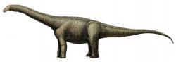 Rekonstrukce možné podoby živého jedince druhu Opisthocoelicaudia skarzynskii. Tento vývojově vyspělý saltasaurid obýval oblast dnešního jižního Mongolska v období pozdní křídy před asi 70 miliony let. Jeho fosilie byly objeveny v sedimentech geologického souvrství Nemegt. I při délce až 13 metrů a hmotnosti přes 10 tun představoval relativně malého titanosaurního sauropoda. Kredit: FunkMonk; Wikipedia (CC BY-SA 3.0)
