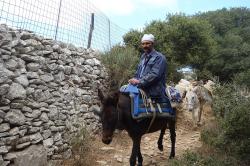 Transport vody k pouti. Amorgos. Kredit: Zde, Wikimedia Commons.