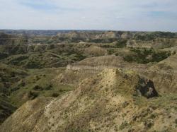 Malebná scenérie geologických vrstev na území Státního parku Hell Creek. Právě zde byl v roce 1902 Barnumem Brownem objeven první rozeznaný a později vědecky popsaný exemplář druhu Tyrannosaurus rex. Kredit: Vlastní snímek autora.