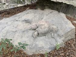 Fosilní stopa dospělého exempláře druhu Tyrannosaurus rex, objevená roku 1983 v lokalitě Philmont Scout Ranch v Novém Mexiku a formálně popsaná o jedenáct let později. Nese vědecké jméno Tyrannosauripus pillmorei, na délku měří 86 a na šířku 64 centimetrů. Kredit: Sea Cow; Wikimedia Commons (CC BY-SA 4.0)