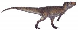 Rekonstrukce přibližného vzezření jurského teropoda druhu Piatnitzkysaurus floresi. Tento asi 6 metrů dlouhý dravec obýval oblast dnešní argentinské provincie Chubut v době před zhruba 165 miliony let. Kredit: Paleocolour; Wikipedie (CC BY-SA 4.0)