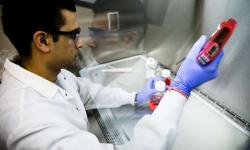 Sumit Bhatnagar, chemik z University of Michigan testuje afinitu substance „pilulky“ na rakovinové buňky. Kredit: Evan Dougherty