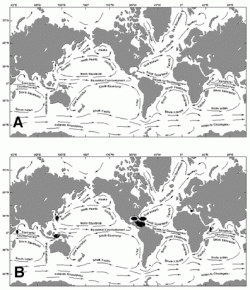 A) Normální cirkulace. B) Oblasti aktivit pirátů. Povšimněte si statisticky významné souvislosti s výskytem oblastí vzestupných proudů (upwelling) v Atlantiku  (Kredit: JACOBMICHAEL )