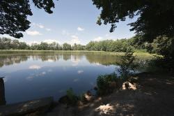 Odlesky a zrcadlení na hladině rybníka Markvart, nedaleko obce Skalsko u Pohoří, okres Praha-západ, cestou z Jílového na Gryblu. Odlesky oblak na hladině ani stíny listů stromů na zemi jsme nezkoušeli osahávat. Kredit: Zde, Wikimedia Commons. Licence CC 4.0.