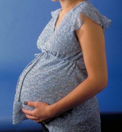 V Česku se ženám s problémem otěhotnět ve věku 21–40 let  z veřejného zdravotního pojištění hradí 3 IVF cykly. Těch, co v úsilí o získání potomka ani pak nepolevují, ať to stojí co to stojí, roste. Nová metoda by měla situaci zlepšit. (Kredit: USDA)