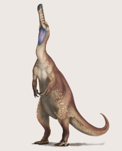 Velký spinosauridní teropod druhu Protathlitis cinctorrensis žil na území dnešního Španělska v období rané křídy, asi před 130 až 125 miliony let. Dosahoval délky v rozmezí 8 až 10 metrů. Kredit: Leoomas; Wikipedia (CC BY-SA 4.0)