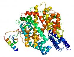 Struktura proteinu ACE2 (Kredit. Emw, CC BY-SA 3.0, Wikipedia).