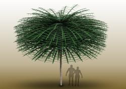 Model stromu Sanfordiacaulis se zjednodušenou strukturou větvení pro snadnější představu stavby koruny, která mohla mít až 30 metrů krychlových. Osoby ve stínu stromu pochopitelně postávat v té době ještě nemohly. Umělec je doplnil jen jako měřítko.  Kredit: Tim Stonesifer