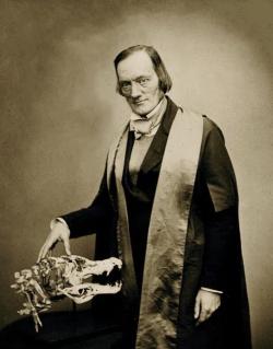 Britský přírodovědec Sir Richard Owen (1804 – 1892) bude v dějinách vědy navždy zapsán především jako muž, který představil světu dinosaury. Fotografie s lebkou a krční páteří krokodýla pochází z roku 1856. Kredit: Maull & Polyblank; Wikipedia (volné dílo).