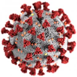 Morfologie virového obalu virionu koronaviru SARS-CoV-2. Glykoproteinové výběžky na povrchu viru mají v elektronovém mikroskopu podobu koróny (z lat. Corona). Odtud se virům dostalo jejich názvu – koronaviry.  Autoři: Alissa Eckert, MS; Dan Higgins. Volné dílo.
