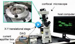 Schéma pinzet instalovaných na konfokálním mikroskopu.  Kredit: Wang et al., Sci. Robot . 4, eaav6180 (2019)