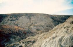 Výchozy souvrství Scollard při řečišti Red Deer River v kanadské Albertě. Právě v těchto vrstvách byl objeven zatím geologicky nejmladší známý exemplář druhu T. rex. Žil maximálně asi 300 000 let před katastrofou K-Pg. Kredit: Anky-man, Wikipedie (CC BY-SA 3.0)