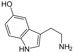 Strukturální vzorec serotoninu. Systematický: 5-Hydroxytryptamin (5-HT)   (Kredit: Wikimedia).