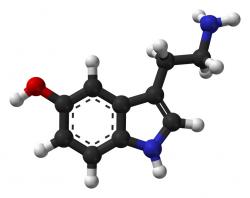 Serotonin - nejen, že nám navzdory předpokladům většinou krevní tlak snižuje, ale pokud jím zaplavíme nervové synapse, navodí nám stav dobré pohody, spokojenosti, hmatové citlivosti a citovou empatii. 