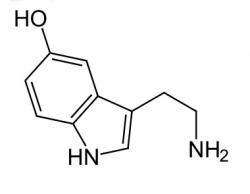 Serotonin. Kredit: NEUROtiker / Wikimedia Commons.