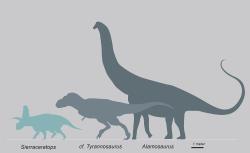 Chasmosaurinní ceratopsid druhu Sierraceratops turneri byl součástí dinosauří megafauny pozdně křídových ekosystémů geologického souvrství Hall Lake na území dnešního Nového Mexika, kde tito dinosauři žili v době před zhruba 72 miliony let. Kredit: Nick Longrich; Wikipedia (CC BY-SA 4.0)