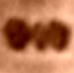 Jedna molekula cytochromu c. Kredit: Jean-Nicolas Longchamp / University of Zurich.