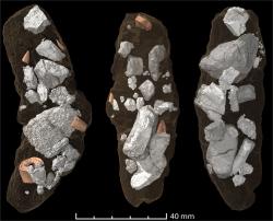 Koprolity, tedy fosilní exkrementy, archosaura druhu Smok wawelski s dobře patrnými úlomky kostí a zubů (převzato z práce Qvarnströma a kol., upraveno; CC BY 4.0).