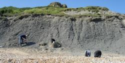 Sedimenty geologického souvrství Oxford Clay na lokalitě v blízkosti města Weymouth v Dorsetu. Právě v této oblasti byly v 19. století objeveny první fosilie metriakantosaura a mnoha jeho současníků, žijících zde v období před zhruba 160 miliony let. Kredit: Wilson44691; Wikipedia (volné dílo).