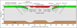 Schématický průřez pohřbeným impaktním kráterem Chicxulub. Dnes leží v průměrné hloubce několika stovek metrů pod nánosy mladších hornin z kenozoika. Jeho celkový průměr činí minimálně 180 kilometrů, možná ale také až o 80 km více. Hloubka této struktury pak činí až kolem 20 km, což představuje významnou část tloušťky zemské kůry. Kredit: Mikenorton; Wikipedia (CC BY-SA 4.0)