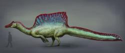 Moderní rekonstrukce přibližného vzezření obřího teropoda druhu Spinosaurus aegyptiacus. Jeho hřbetní plachta mohla být pestře zbarvená a sloužit k signalizaci i vnitrodruhové komunikaci. Kredit: Mario Lanzas; Wikimedia Commons (CC BY-SA 4.0)