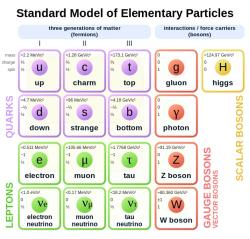 Standardní model částicové fyziky. Top kvark je godzilla, které se hmotností nikdo nevyrovná. Kredit: Wikimedia Commons, Cush.