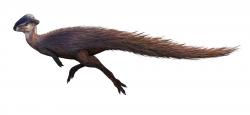 Pachycefalosauridní marginocefal (zástupce vývojově pokročilých ptakopánvých dinosaurů) druhu Stegoceras validum obýval území současné kanadské provincie Alberta v době před 77 až 74 miliony let. Patřil tedy k dinosaurům, jejichž den byl zhruba o půl hodiny kratší, než ten náš. Ilustrace zachycuje stegocera s hypotetickým tělesným pokryvem v podobě tzv. proto-peří. Kredit: FunkMonk; Wikipedie (CC BY-SA 4.0)