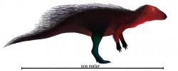 Rekonstrukce přibližné podoby stenopelixe jako vývojově primitivního ceratopse (archaického rohatého dinosaura). Tento asi 1 až 1,5 metru dlouhý a kolem 10 kilogramů vážící býložravý dinosaurus obýval území současného Německa v období rané spodní křídy, asi před 140 miliony let. Jeho nejbližší vývojové příbuzné dnes známe zejména z Číny. Je možné, že východoasijští předkové stenopelixe se v době přelomu jurské a křídové periody přesouvali v jedné nebo několika migračních vlnách na území současné Evropy. Kredit: Danny Cicchetti; Wikipedie (CC BY-SA 3.0)