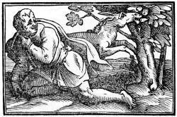 Giuseppe Porta, rytina z roku 1540 zobrazuje poslední okamžiky Chrýsipovy. Prý zemřel smíchem, když sledoval, jak osel žere fíky. Ilustrace k italskému překladu díla Diogena Laertia z roku 1606. Kredit: Pasicles, Wikimedia Commons. Public domain.