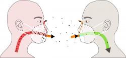 Tři metry k zajištění ochrany nám nestačí. I na takovou vzdálenost trvá neočkovanému člověku bez masky, stojícímu ve směru dechu člověka s COVID-19, méně než pět minut, než se nakazí s téměř stoprocentní jistotou. Masky nám často nepřiléhají a svou funkci plní sporadicky, ale i ty špatně padnoucí nám výrazně snižují riziko infekce. Kredit: Birte Thiede/MPI für Dynamik und Selbstorganisation.