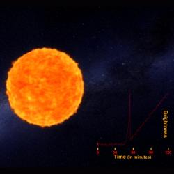 Supernova před explozí. Kredit: ANU.