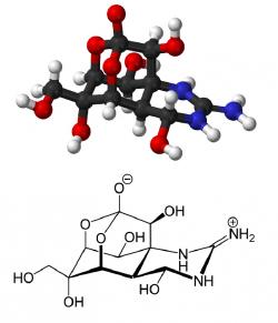 Termostabilní neurotoxin tetrodotoxin C 11 H 17 N 3 O 8.  Bílá krystalická a ve vodě rozpustná látka látka nebílkovinné povahy. Produkují ji sinice, odkud se dostává do živočichů živících se planktonem. Častým zdrojem otravy jsou ryby čeledi Čtverzubcovití. Toxin ale zvládají produkovat i bakterie (Pseudomonas , Vibrio a další). 