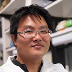 Tetsuhiro Kikuchi (první autor publikace):  "Udělali jsme neurony produkující dopamin z různých buněčných linií iPS. Některé iPS buňky pocházely z buněk zdravých dobrovolných dárců, jiné z buněk pacientů s Parkinsonovou chorobou." Kredit: Kyoto University.