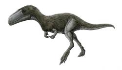 Rekonstrukce přibližného vzezření timurlengie, tyranosauroida z období počátku pozdní křídy. Tento teropod obýval oblasti současné centrální Asie v době před asi 92 až 90 miliony let a je tak pro paleontology významným příspěvkem k pochopení evolučních trendů tyranosauroidních teropodů v tomto zatím nepříliš probádaném období. Kredit: FunkMonk, Wikipedie (CC BY-SA 3.0)