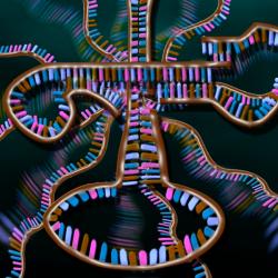 Jak asi vypadal RNA svět? Kredit: Nicolle Rager-Fuller/ NASA.