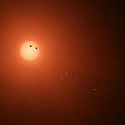 Systém TRAPPIST-1. Kredit: NASA/JPL-Caltech.